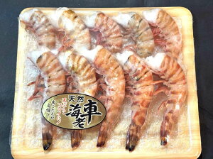 znے@VRI܊CV10I ԃGr ԊCV N}Gr ܂ 