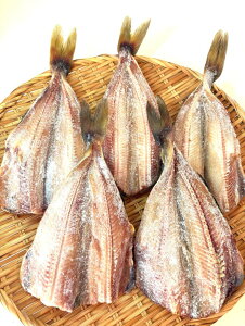 znے@󂠂ƖpI܂قJ5IV}zbP Ȃق ȃzbP 