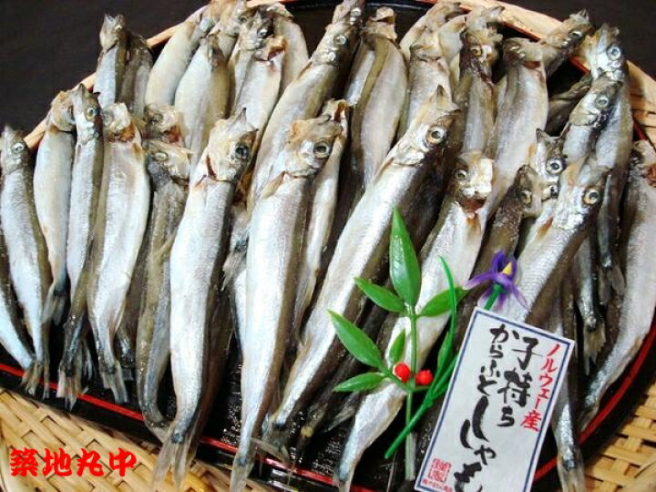 楽天市場】築地丸中 訳あり 子持ちししゃも丸干し1kg（45尾前後  