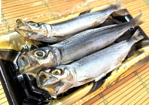 znے@ʌI߂킵ۊ3iRYj E킵 CV  킵 