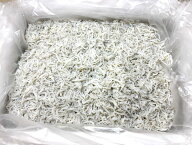 築地丸中　新物！釜揚げしらす1kg 愛知県産！ シラス かまあげしらす 釜あげ 居酒屋