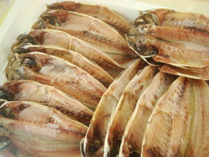 znے@茧YIJiSj10I AW  