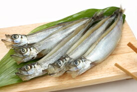 築地丸中　大特価！ししゃも丸干し1kg入り（オスが美味しい！） シシャモ ししゃも