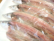 築地丸中　さんま開き（北海道産5枚）さんま サンマ 秋刀魚