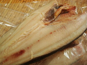 znے@󂠂I^قJ3ikCYjI ܂ق }zbP (}AC)