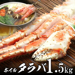 {C{^oKj 1yz 1.5kg VNpbN Iz[cNCY H̃O H~̏H ӂ̑蕨   CN Mtg