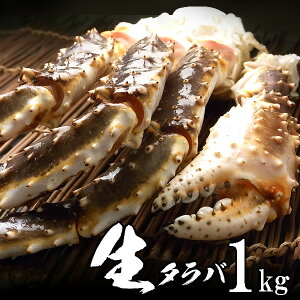  ^oKj i΂ j1kg VAY VNpbN ɏi yz700~Z H̃O hV̓ ފ ӂ̑蕨  CN Mtg