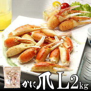  ɒ(Jj) LTCY 1kg(36`40)×2 Ji_Y mEF[Y VAY kCAւ700~Z Jj A[htCJjܗⓀtC ƖpⓀJj H̃O h