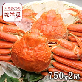 ズワイガニ姿（ボイル） 750g×2尾 カナダ産 極上品 かにみそたっぷり入っています！春 新生活 母の日 ギフト プレゼント 手巻き寿司 海鮮丼