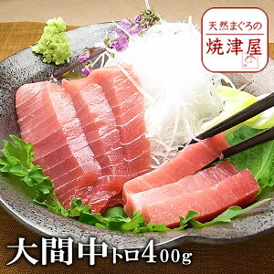  {}O g iⓀj200g`400g ȏ VR ɏi yzւ700~Z H̃O hV̓ ފ ӂ̑蕨  CN Mtg