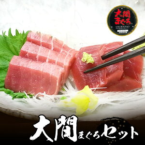  {}O g iⓀj 300gȏEԐg200g Zbg ɏi VR yzւ700~Z H̃O hV̓ ފ ӂ̑蕨  CN Mtg