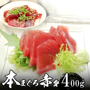 【年末年始配達予約可能】本マグロ(本鮪)赤身 4人前(約400g) 極上品 天然物【送料無料】沖縄へは700円加算 お歳暮 海鮮 冬ギフト 冬グルメ 贈答用 プレゼント 年末準備