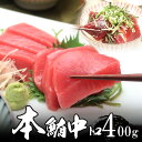 本マグロ（本鮪）中トロ 4人前 （2本で、400g以上） 天然物 極上品 【送料無料】北海道・沖縄へは700円加算 冬ギフト 人気 グルメ 節分 恵方巻 海鮮丼 自炊 手作りごちそう