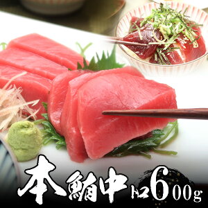 本マグロ(本鮪 中トロ 6人前(3本で、600g以上) 天然物 極上品 【送料無料】沖縄へは700円加算 秋のグルメ 食欲の秋 感謝の贈り物 お取り寄せ 魚介類 海鮮 ギフト お歳暮
