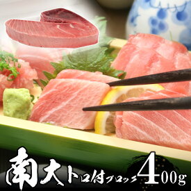 南鮪（ミナミマグロ）大トロ付き ブロック 4人前 400g 送料無料 北海道・沖縄700円加算 天然物 極上品 お中元 夏ギフト のし 食べ物 おつまみ 海鮮 シーフード 魚介類 ご褒美