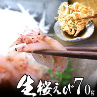 【新物】生桜海老（桜えび）700g 地元 静岡 駿河湾 大井川港産 かき揚げ 海鮮丼 イタリアン 父の日 プレ…