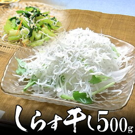 しらす干し 500g 無添加 無漂白 塩分30%減塩 低塩分静岡 遠州灘産 天日干し【送料無料】 沖縄は700円加算 初夏 夏ギフト 贈り物 お中元 海鮮グルメ お取り寄せ ご褒美 酒の肴 おつまみ