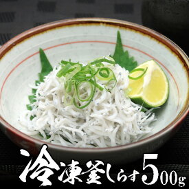 【冷凍】釜揚げ しらす 100g 5個 無添加 無漂白 豊洲で一番評価の静岡 遠州灘産 【送料無料】北海道・沖縄へは700円 配達日の指定可能 食欲の秋 グルメ 食べ物 おつまみ 海鮮 魚介類 敬老の日 ギフト