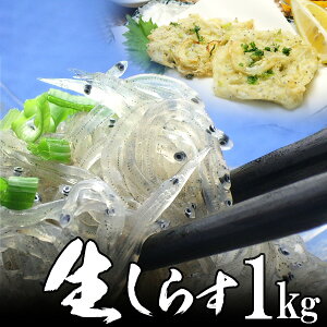 炷 1kg(100g 10) Y Y CN 炷ɁI É `Y Ε CN ~Mtg ~O p v[g N NNnzB\\