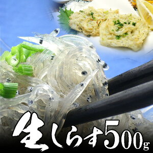 炷 500g Y Y  CN 炷ɁI ÉY H̃O H~̏H ӂ̑蕨   CN Mtg