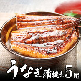 うなぎ 蒲焼き5尾（長焼き、1尾 約140g）静岡 焼津産【送料無料】北海道・沖縄へは700円加算 冬ギフト 人気 グルメ 節分 恵方巻 海鮮丼 自炊 手作りごちそう