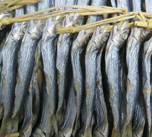 YY߂킵㊣ 4x30A ̍@{ɂ@CVۊ@h{_@YRHi@E悭Ă܂@܂@̂Ȃ̂ߊۊ