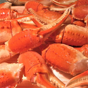  YCKj L 1Kg (1kgŖ36) yJj 1Kg {C YCKj c I ̂܂ ̍ i ɏ   ɓ Jj VՂ tC Ⓚ Mtg z