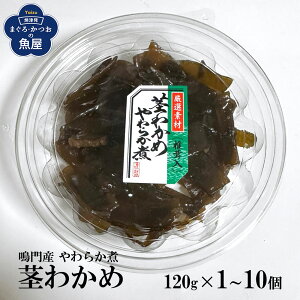 s킩 sJ 炩 120g×1`10 ώ Y т̂ ܂  ɂ̋ RRH