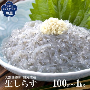 É x͘pY 炷 100gx5 ܂ CN 炷 CN Y VN NxQ VRY NxQ 炷 CN