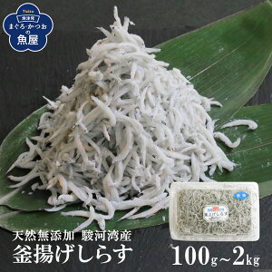 É x͘pY g炷 100g`2kg@VRY@VX@CN@̂ ɂ VN ӂӂ HׂTCY ܂ 炷 pX^ g[Xg