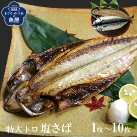 脂のり抜群！大トロさば開き干物 特大塩さば(200g～300g) 1～10枚 干物 鯖の開き 焼き魚 簡単調理 肉厚 脂たっぷり 大型サイズ ごはんのお供