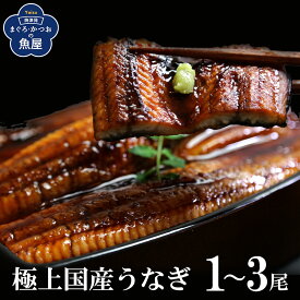 極上 国産 うなぎ 特大 200gx1～3尾 鰻長焼 鰻蒲焼 タレ 山椒付き 特大サイズ 肉厚 ふっくら 柔らか 鰻丼 ふっくらジューシー！贅沢な味わいの高級うなぎ お取り寄せ ギフト 贈答用