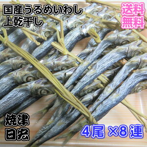 楽天市場 送料無料 国産無添加うるめいわし上乾干し 酒の肴 日本酒にあう魚 イワシ丸干し カルシュームたっぷり 栄養満点 おつまみいわし 無添加自然食品 ウルメよく干してあります 日持ちします 昔なつかしのうるめ丸干し 海産物問屋焼津日宏
