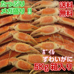 YCKj 󂠂 5kg y킢 ɑ ɂ JjVu ɓ Jj e Zbg Zbg e  Mtg 蕨  lp Ƒ p[eB[p Ɩp Ⓚz