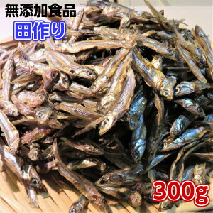 ܂(c)300g ܂߁@RHi@NRHi@JV[Ղ@Ɂ@̂Ȃ̓V@킵̎qǂ@Y킵@OKłB܂݁@̍