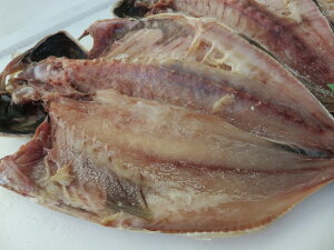 g2@@܂B̍@ĂȂ̂@BBQ@̊@銱̂Ђ́@V̂@ƂAW@̊ ł܂BĒÂ̋