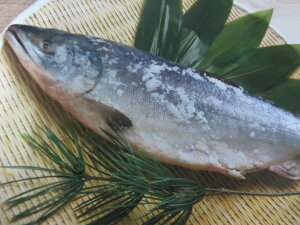 VׁyzkCY@ViHj{y1.5kz ϔ Ε @蕨@j@ɂ́@kC̖@i̐V@ۂƁ@ĂȊO낢