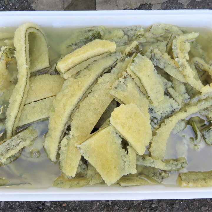楽天市場 お徳用天然子持ち昆布 数の子昆布切り落とし500g 訳あり 業務用 コリコリ バリバリ 極上子持ち昆布 天然物 超肉厚子持ち昆布です 正月料理 おせち料理等で幅広くご利用されています 縁起物 海産物問屋焼津日宏