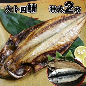 yzg I (200g`300g)2  Ղ ^TCY ΂̂Ђ炫 To̓V ΂̂Ђ ͂̂   gI CY Yn 