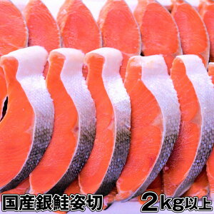 鮭 切り身 弁当の人気商品 通販 価格比較 価格 Com
