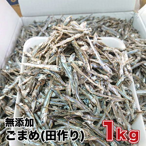 yz2025NxVׁ@܂(c)1kg RHi@NRHi@JVEՂ@Ɂ@̂Ȃ̓V@킵̎qǂ@Y킵   VR