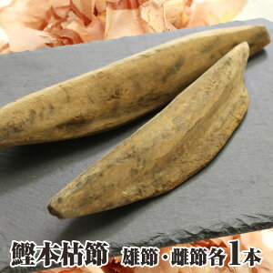 yz ĒÁ@{͐ Y߁E߁@e1{Zbg {ނ芏@Y {i n  ĒÖ{͂