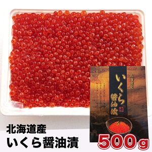 yzkCY ɏCNݖ500g p kCYCNݖ t ɏ㉻ϔ萳Ki Ε Mtg