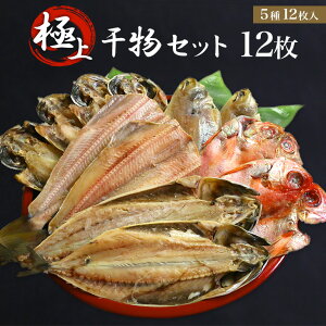 yzXꉟ̋ɏ㊱Zbg JC 12@蕨y Mtg g ܂ق g Ƃ낳 ڑ JC т̂ ̂܂  銱 V@Y 