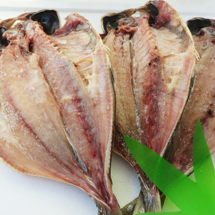 楽天市場 送料無料 大トロあじ3枚 約25cm 150g以上 肉厚 脂あります 酒の肴 おもてなしのおかず q おいし鯵の干物 一夜干しのひもの 天日干しのあじ とろアジ 美味しいあじの干物 絶品ひもの 鯵が好き 海産物問屋焼津日宏