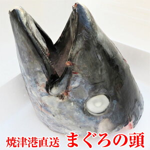 マグロ 頭 魚の人気商品 通販 価格比較 価格 Com マグロ 頭 魚の人気商品 通販 価格比較 価格 Com