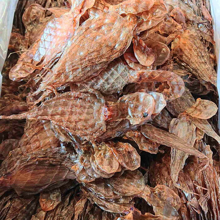 楽天市場 たこみりん干し 100g タコ干物 たこ姿干し 干しタコ 人気の引っ張りタコ 当店の人気物イイダコの干物 珍味 酒の肴 海産物問屋焼津日宏