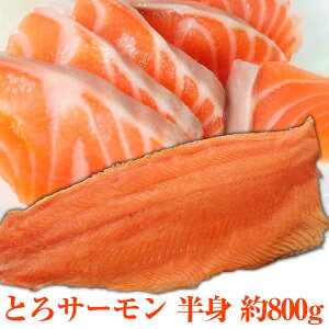 Ɩp H hgp ƂT[ g Аg 800g T[gEg i 芪i CN