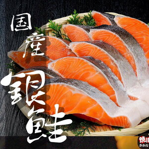 極上国産銀鮭 おためし5切れ 【鮭 銀鮭 シャケ しゃけ 銀鮭切り身 鮭切り身 甘塩鮭切り身 魚 塩焼き ご飯のお供 お弁当 酒のつまみ 切り身 国産 美味しい 絶品】国産サーモン