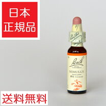 楽天市場】フラワー バッチ レメディの通販